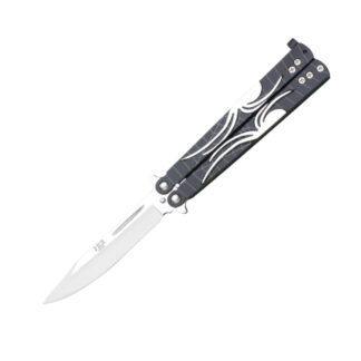 Joker Butterfly Spider